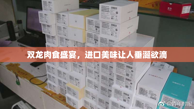 双龙肉食盛宴，进口美味让人垂涎欲滴