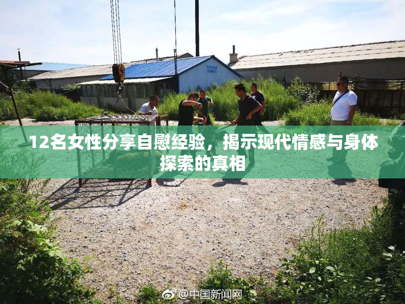 12名女性分享自慰经验，揭示现代情感与身体探索的真相