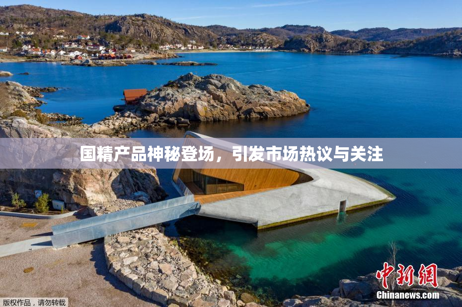 国精产品神秘登场，引发市场热议与关注