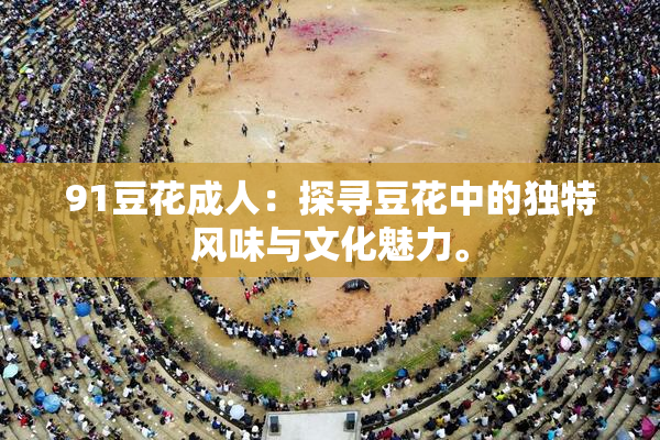91豆花成人：探寻豆花中的独特风味与文化魅力。