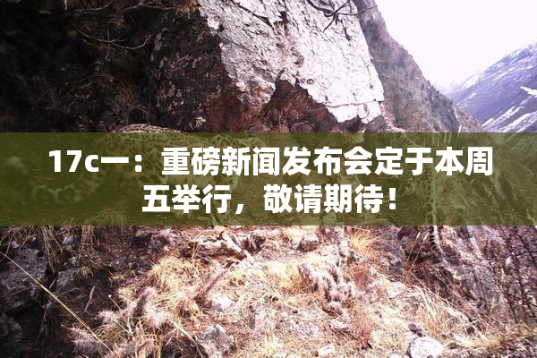 17c一：重磅新闻发布会定于本周五举行，敬请期待！