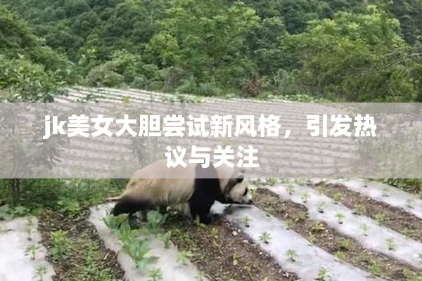 jk美女大胆尝试新风格，引发热议与关注