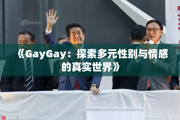 《GayGay：探索多元性别与情感的真实世界》