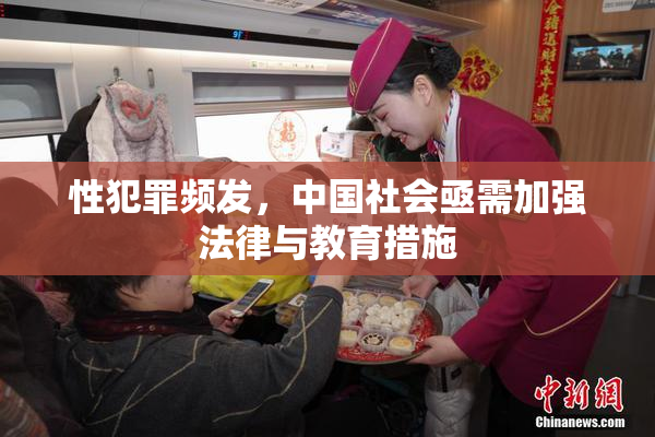 性犯罪频发，中国社会亟需加强法律与教育措施