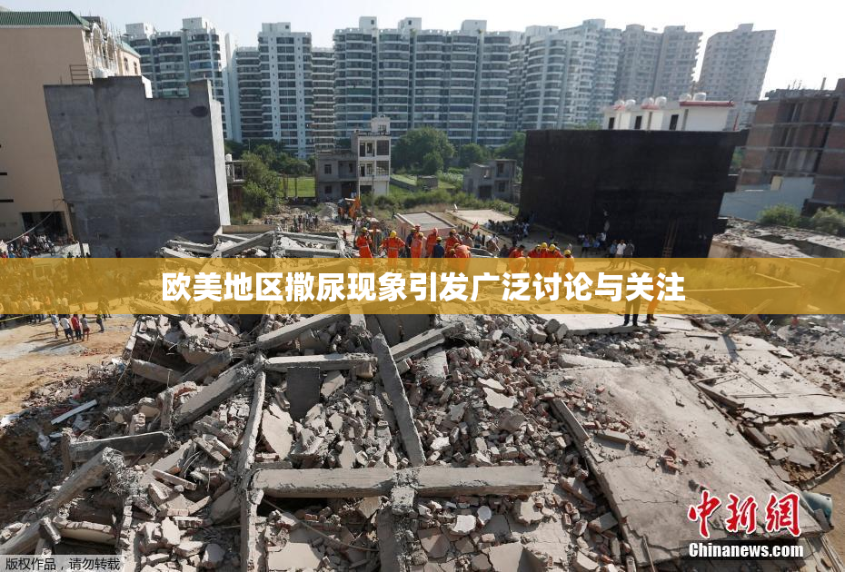 欧美地区撒尿现象引发广泛讨论与关注