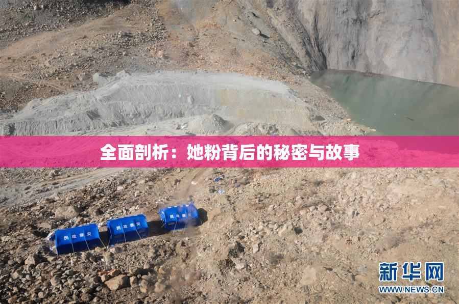 全面剖析：她粉背后的秘密与故事