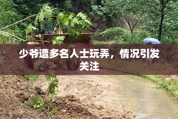 少爷遭多名人士玩弄，情况引发关注