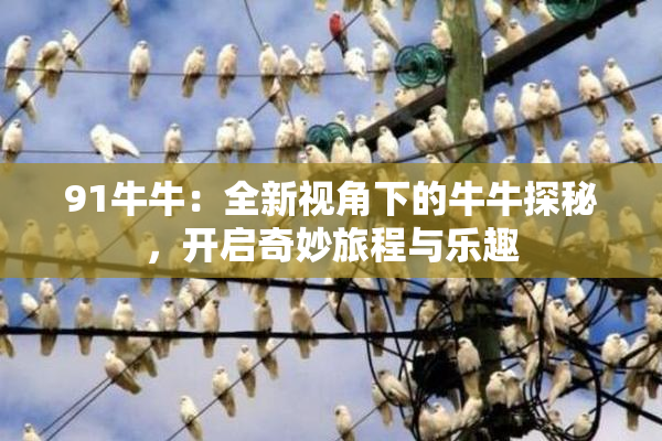 91牛牛：全新视角下的牛牛探秘，开启奇妙旅程与乐趣