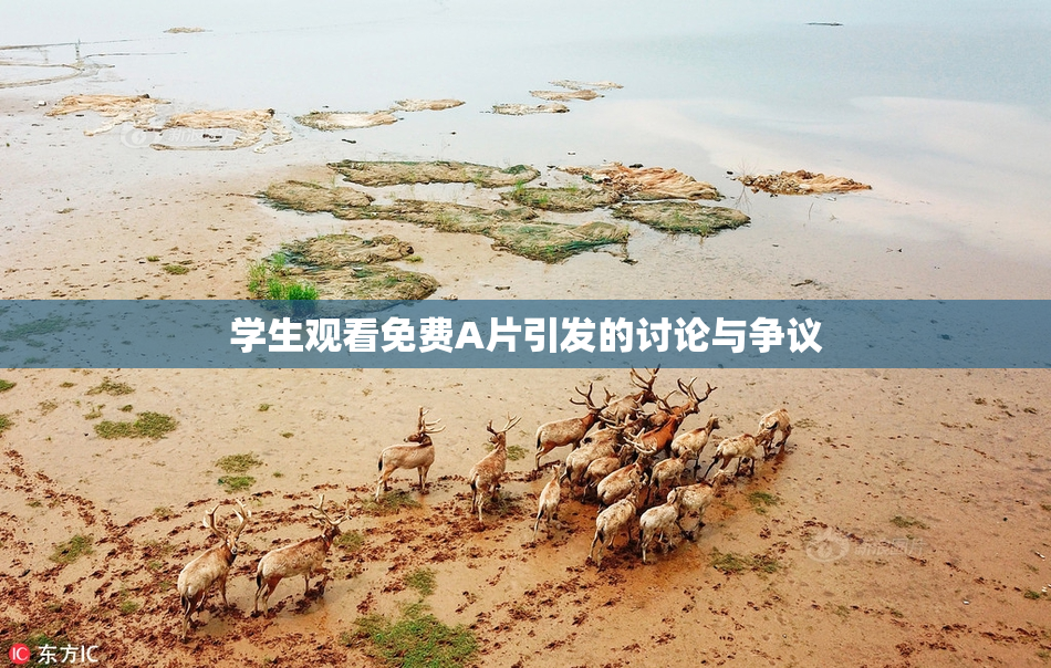 学生观看免费A片引发的讨论与争议