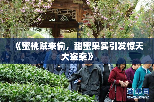 《蜜桃贼来偷，甜蜜果实引发惊天大盗案》