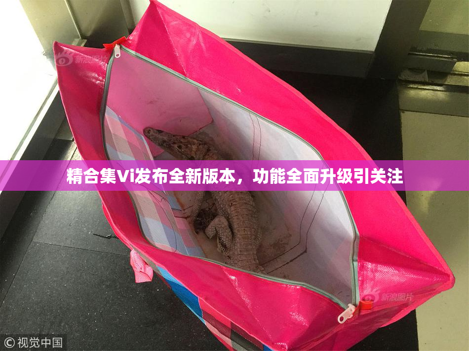 精合集Vi发布全新版本，功能全面升级引关注
