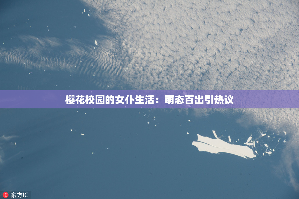 樱花校园的女仆生活：萌态百出引热议