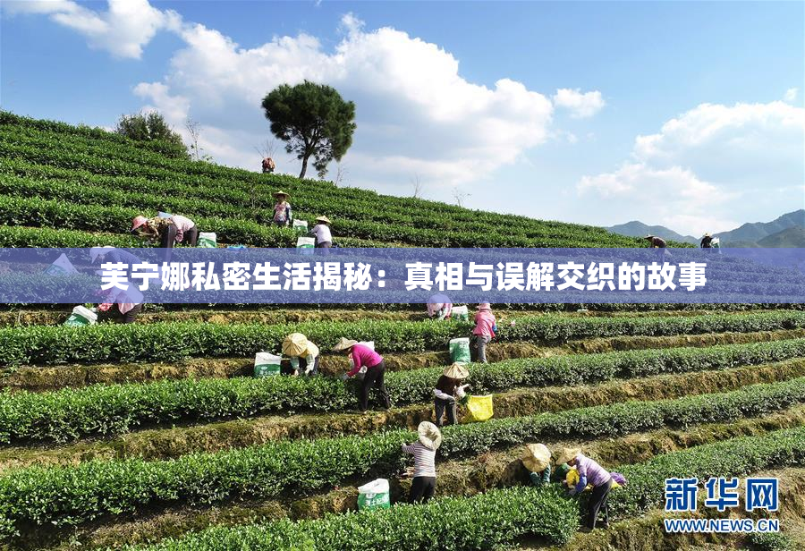 芙宁娜私密生活揭秘：真相与误解交织的故事