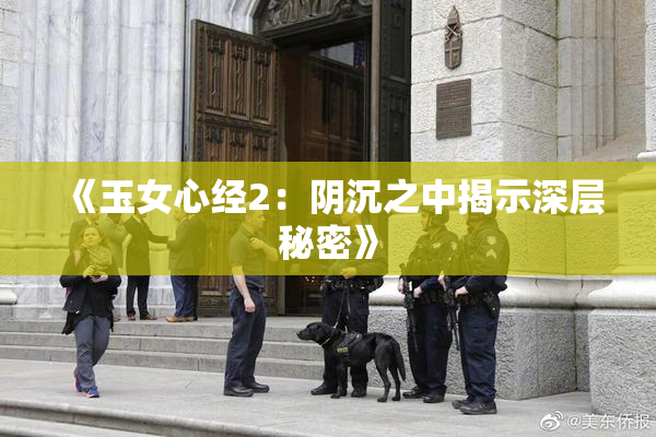 《玉女心经2：阴沉之中揭示深层秘密》