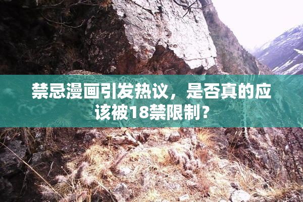 禁忌漫画引发热议，是否真的应该被18禁限制？