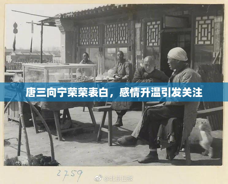 唐三向宁荣荣表白，感情升温引发关注