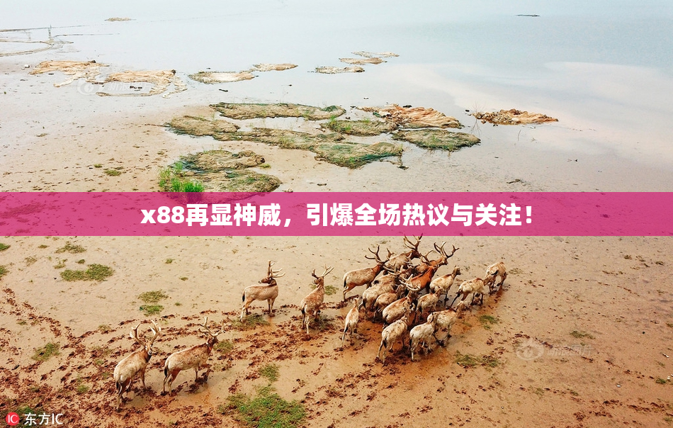 x88再显神威，引爆全场热议与关注！