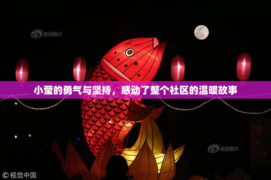 小莹的勇气与坚持，感动了整个社区的温暖故事