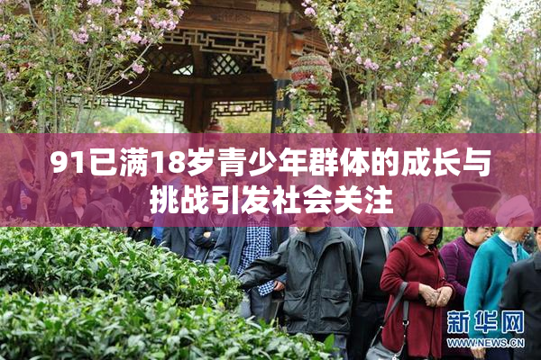 91已满18岁青少年群体的成长与挑战引发社会关注