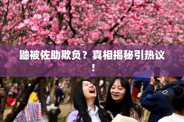 鼬被佐助欺负？真相揭秘引热议！