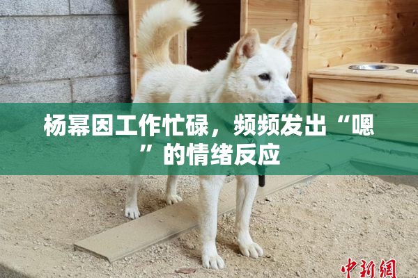 杨幂因工作忙碌，频频发出“嗯”的情绪反应