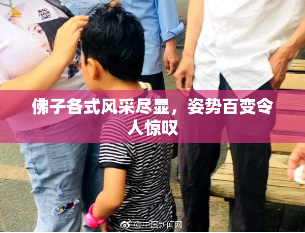 佛子各式风采尽显，姿势百变令人惊叹