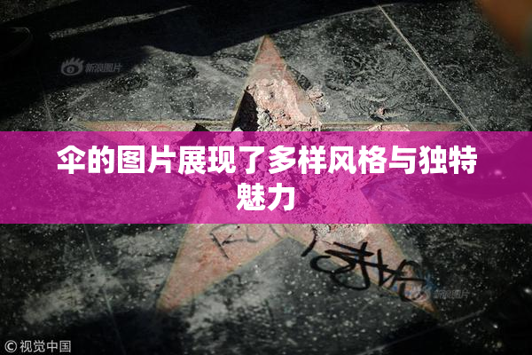 伞的图片展现了多样风格与独特魅力