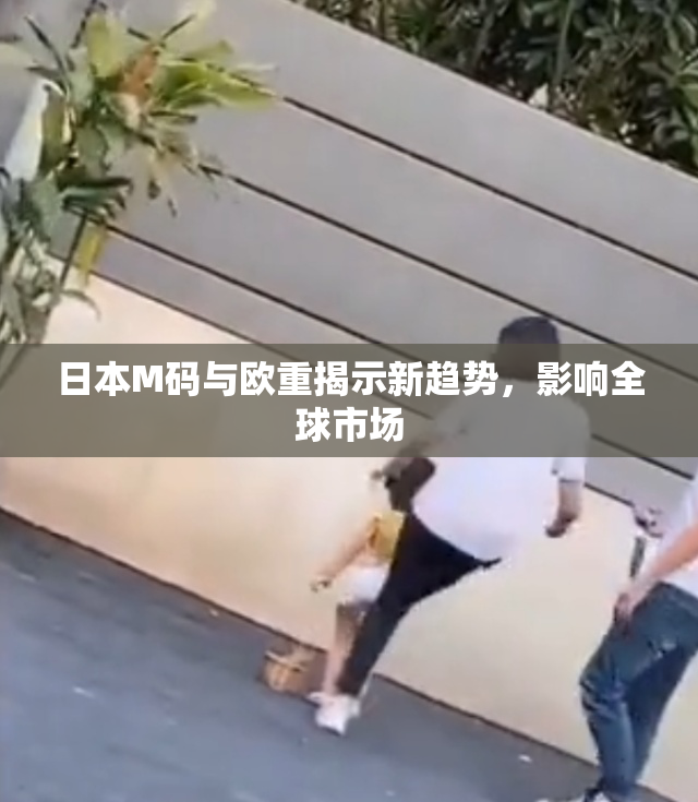 日本M码与欧重揭示新趋势，影响全球市场