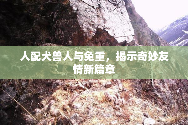 人配犬兽人与免重，揭示奇妙友情新篇章