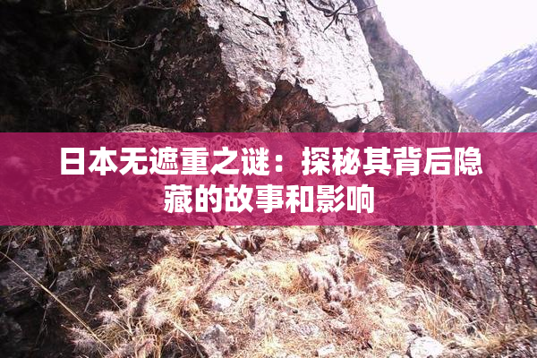 日本无遮重之谜：探秘其背后隐藏的故事和影响