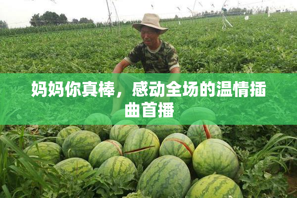 妈妈你真棒，感动全场的温情插曲首播