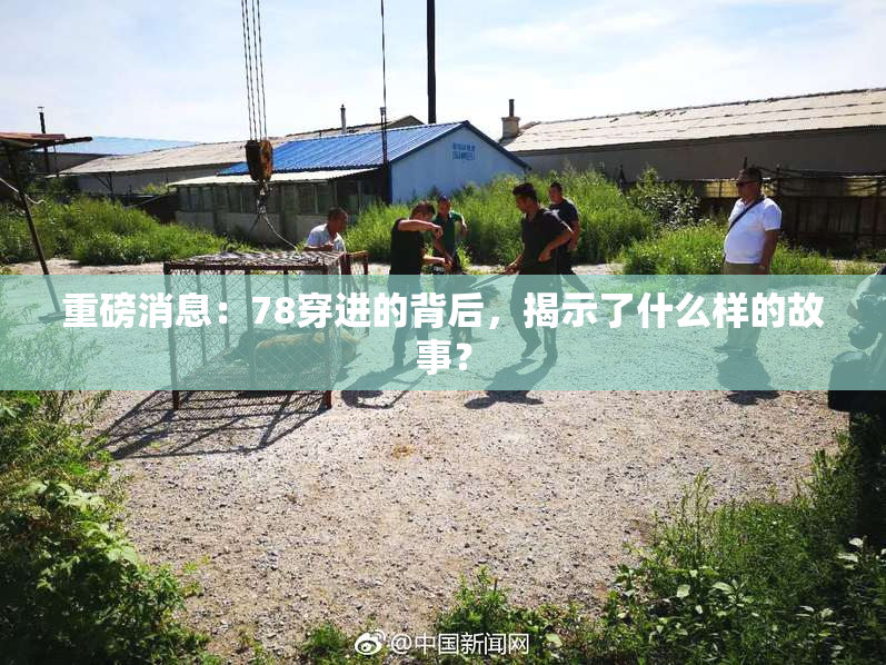 重磅消息：78穿进的背后，揭示了什么样的故事？