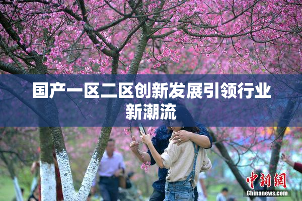 国产一区二区创新发展引领行业新潮流