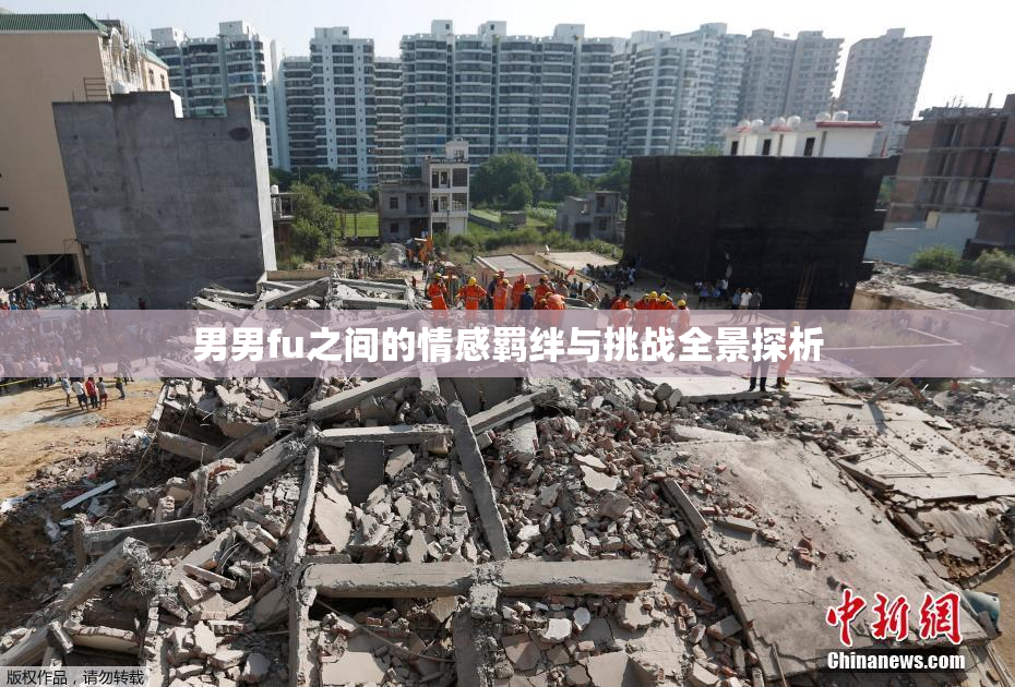 男男fu之间的情感羁绊与挑战全景探析