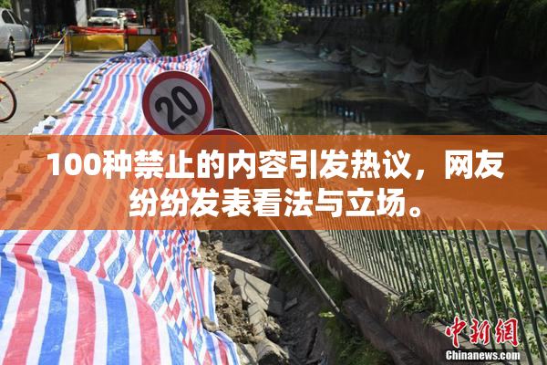 100种禁止的内容引发热议，网友纷纷发表看法与立场。