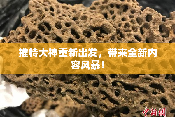 推特大神重新出发，带来全新内容风暴！