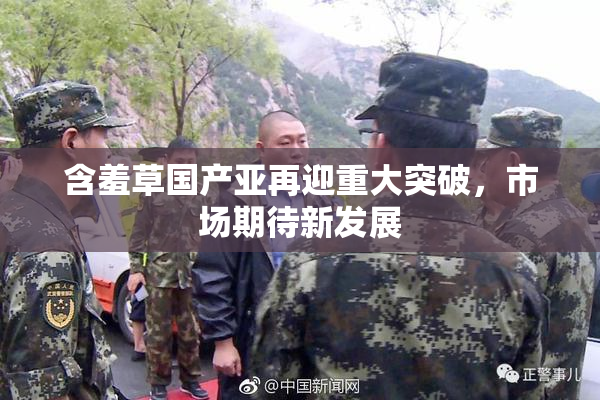 含羞草国产亚再迎重大突破，市场期待新发展