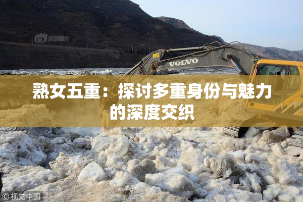 熟女五重：探讨多重身份与魅力的深度交织