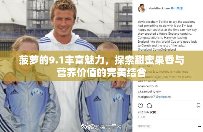 菠萝的9.1丰富魅力，探索甜蜜果香与营养价值的完美结合