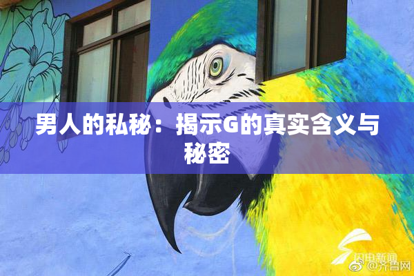男人的私秘：揭示G的真实含义与秘密