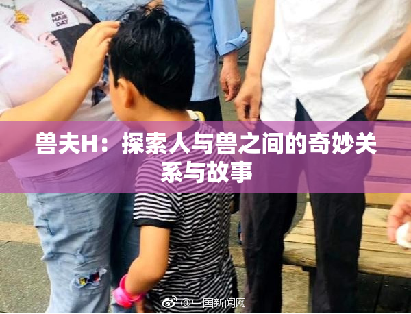 兽夫H：探索人与兽之间的奇妙关系与故事