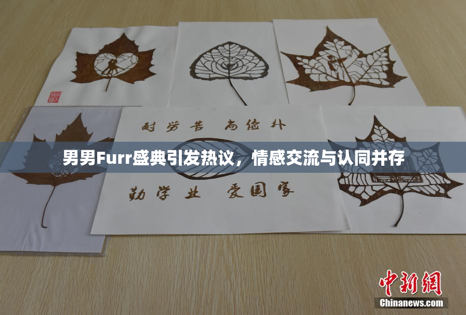 男男Furr盛典引发热议，情感交流与认同并存