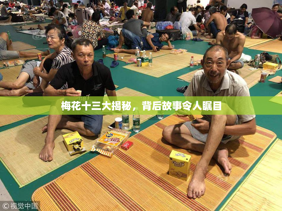梅花十三大揭秘，背后故事令人瞩目