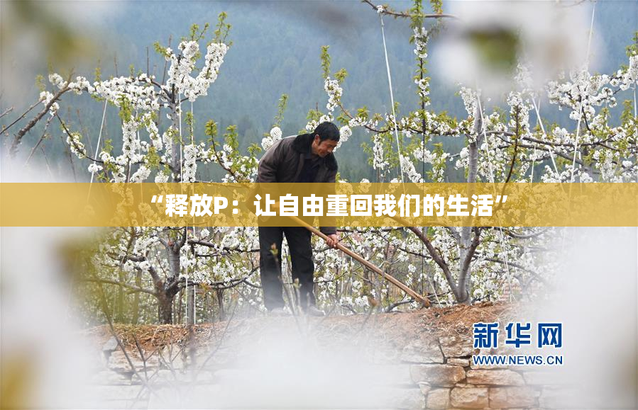 “释放P：让自由重回我们的生活”