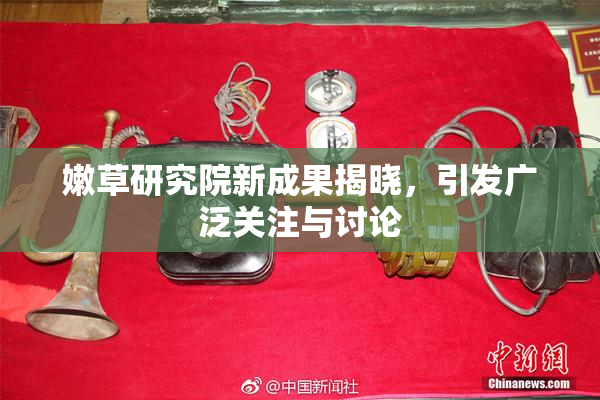 嫩草研究院新成果揭晓，引发广泛关注与讨论
