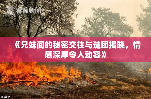 《兄妹间的秘密交往与谜团揭晓，情感深厚令人动容》