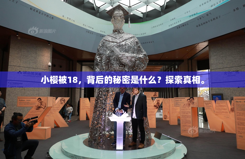小樱被18，背后的秘密是什么？探索真相。