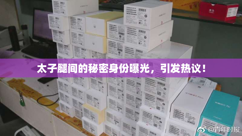 太子腿间的秘密身份曝光，引发热议！