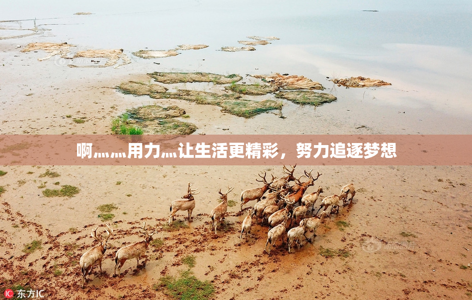 啊灬灬用力灬让生活更精彩，努力追逐梦想