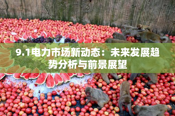 9.1电力市场新动态：未来发展趋势分析与前景展望